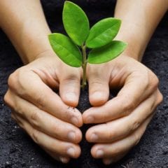 ce94428e-2fe2-46a7-bd50-332a0608f3ad growth